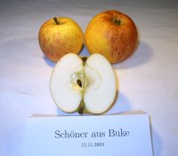 Schöner aus Buke
